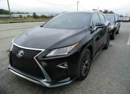 2019 Lexus RX 350 Sport